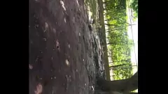 Play Latina Stepsister Begs for Cock in Public
